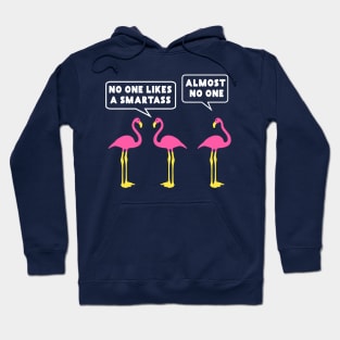 Funny Pink Flamingo Smartass Hoodie